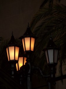 Lamp Post by Stella Levi