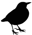 Blackbird silhouette